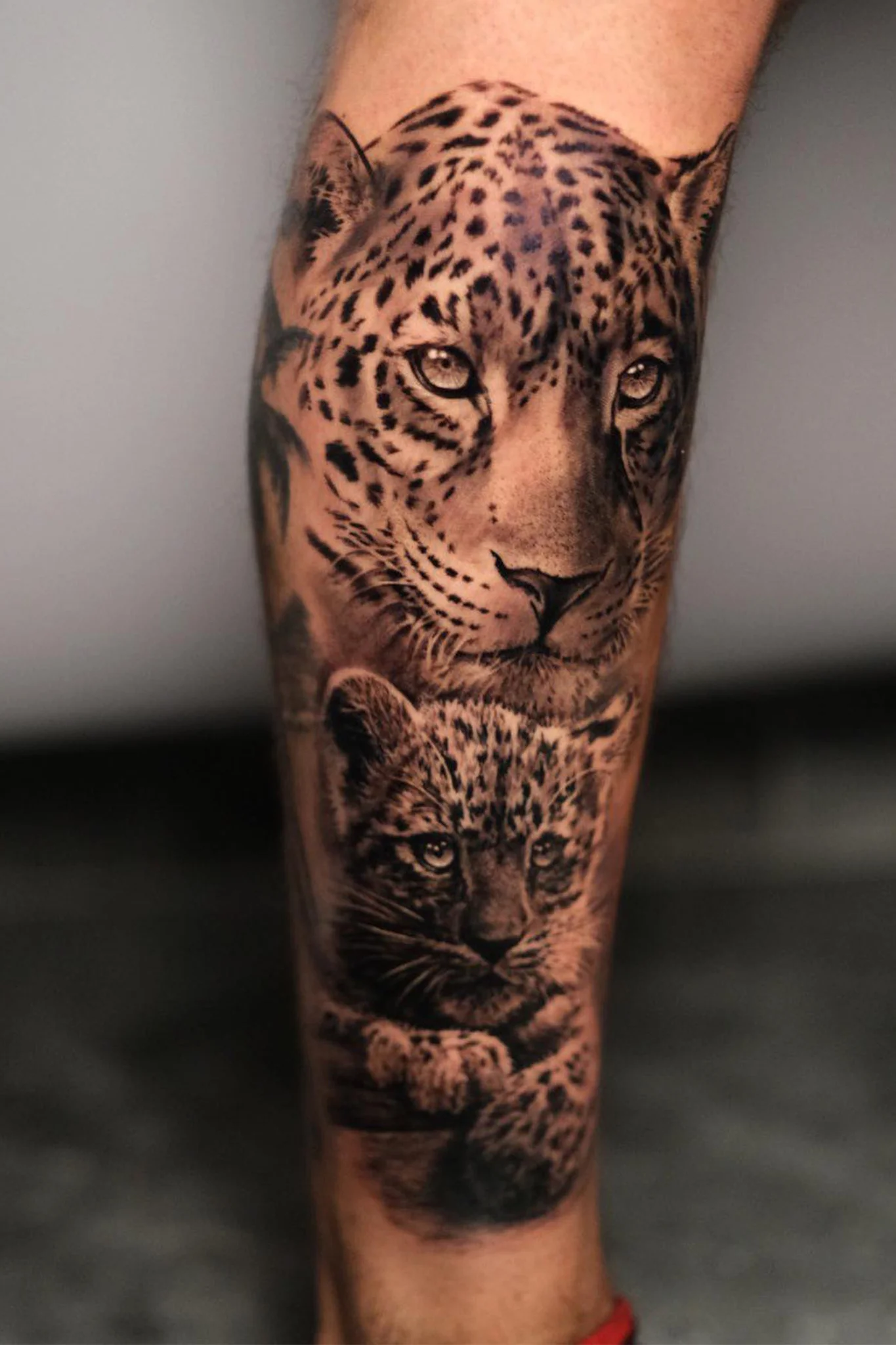 Lion Tattoo